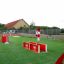 Zestaw Flipper set 2st dla psów na placu zabaw z przeszkodami agility.
